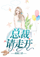 总裁,请走开在线阅读