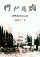 行尸走肉之我有随身空间