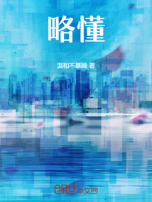 略懂