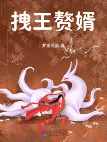 拽王贅婿