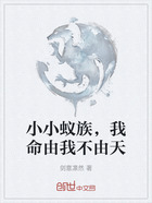 小小蚁族,我命由我不由天在线阅读