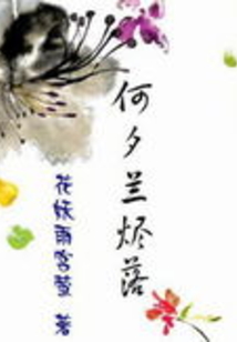 何夕蘭燼落