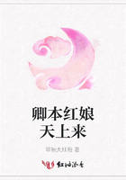 卿本紅娘天上來在線閱讀