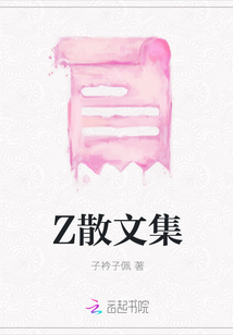 Z散文集