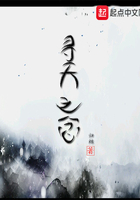 寻天之念