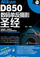 Nikon D850数码单反摄影圣经