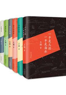 王朔作品精選（共6冊）