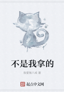 不是我拿的