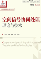 空间信号协同处理理论与技术在线阅读