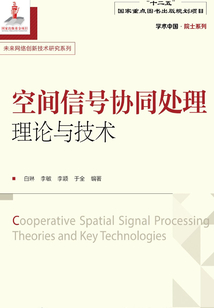 空間信號協(xié)同處理理論與技術(shù)