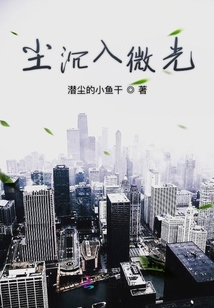 塵沉入微光