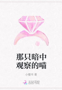 那只暗中观察的喵