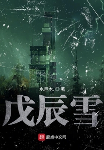 戊辰雪