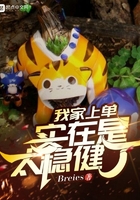 我家上單實在是太穩(wěn)健了在線閱讀