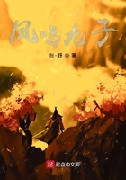 凤鸣九子在线阅读