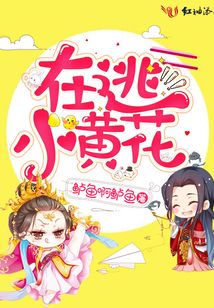 在逃小黃花