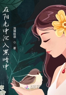 在阳光中沉入黑暗中