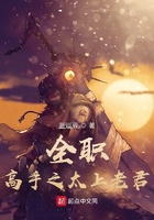 全職高手之太上老君在線閱讀