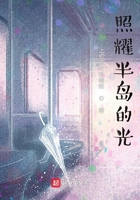 照耀半島的光在線閱讀