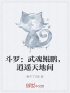 斗罗:武魂鲲鹏,逍遥天地间在线阅读