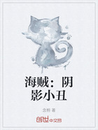 海贼:阴影小丑在线阅读