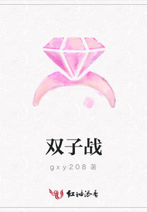 雙子戰