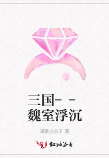 三国--魏室浮沉