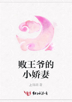 败王爷的小娇妻