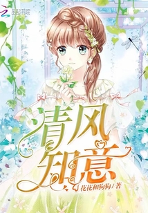清风知意