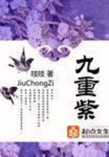 九重紫 第三册