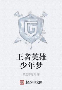 王者英雄少年夢