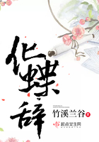 化蝶辭在線閱讀