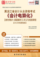 黑龙江省会计从业资格考试《会计电算化》【教材精讲＋真题解析】讲义与视频课程【20小时高清视频】在线阅读