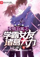 爱情公寓之学霸女友诸葛大力在线阅读