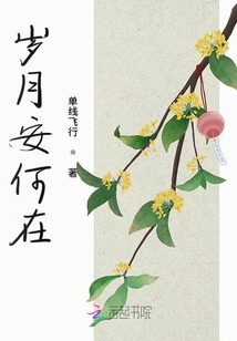 歲月安何在