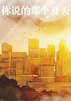 你说的那个夏天还在吗在线阅读