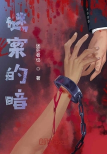 谜案的暗