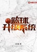 篮球升级系统