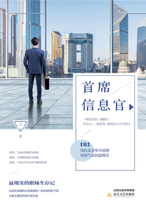 首席信息官(下)