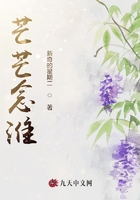 芒芒念淮