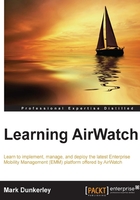 Learning AirWatch在线阅读