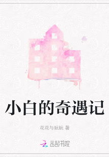 小白的奇遇記