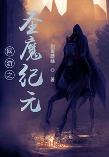 网游之圣魔纪元