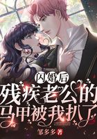 閃婚后，殘疾老公的馬甲被我扒了在線閱讀
