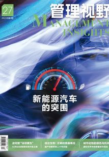 管理視野27：新能源汽車的突圍