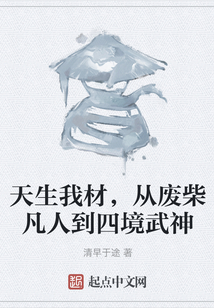 天生我材，从废柴凡人到四境武神