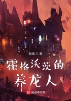 霍格沃茨的养龙人