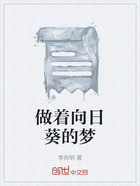 做着向日葵的梦在线阅读