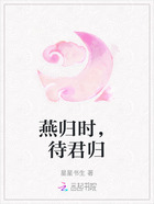 燕归时,待君归在线阅读