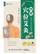 图解穴位艾灸在线阅读
